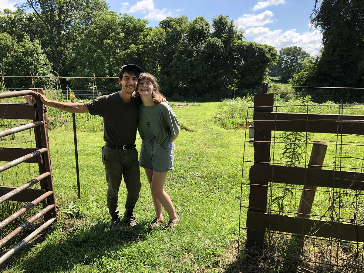 Vegan Food, Venezuelan Music, Radical Farming