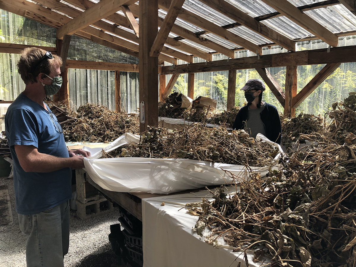 The Store Is The Garden: Reflections On Growing Enough